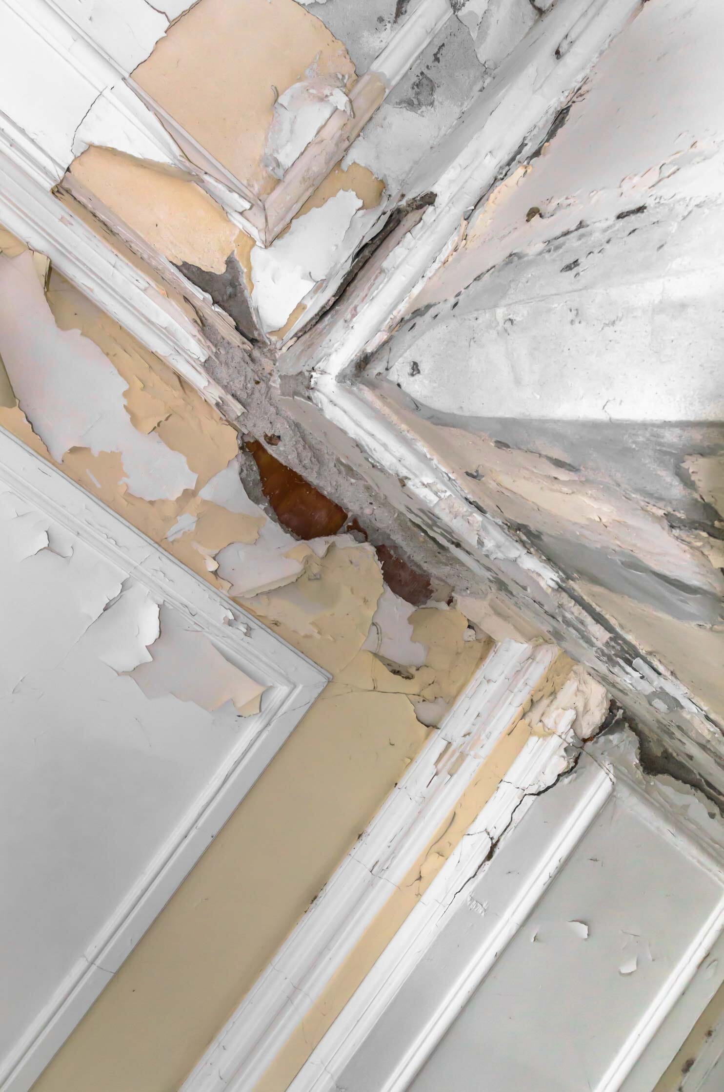 water-damage.jpg?w=680&h=1024&scale